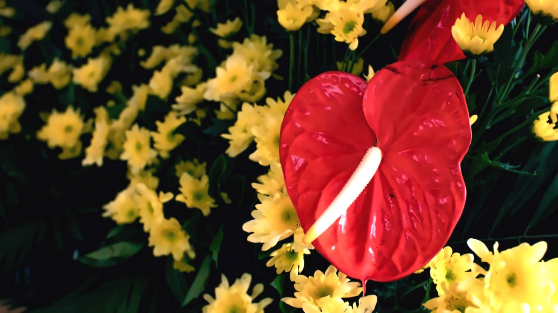 Professional documentation process showing organized workflow systems